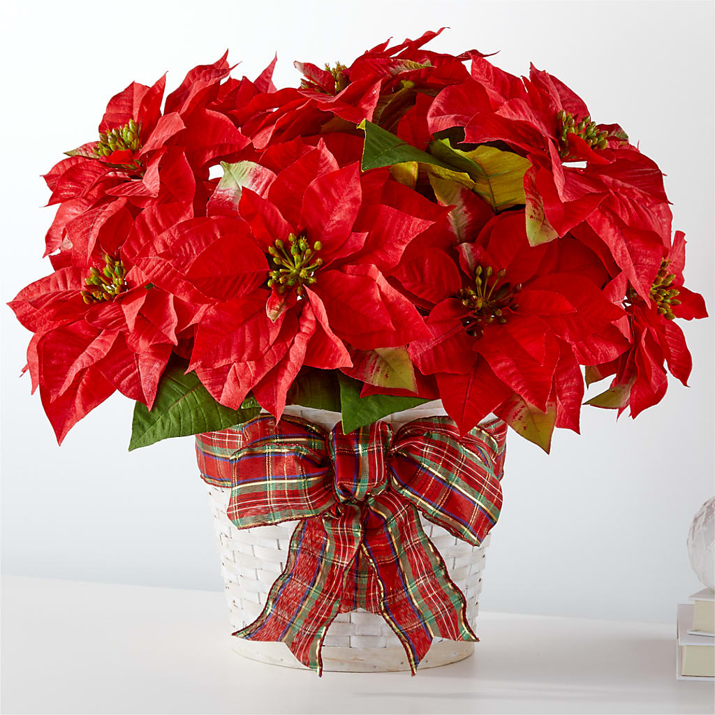 Happiest Holidays Poinsettia – Colonial Flower Shoppe, Somers CT