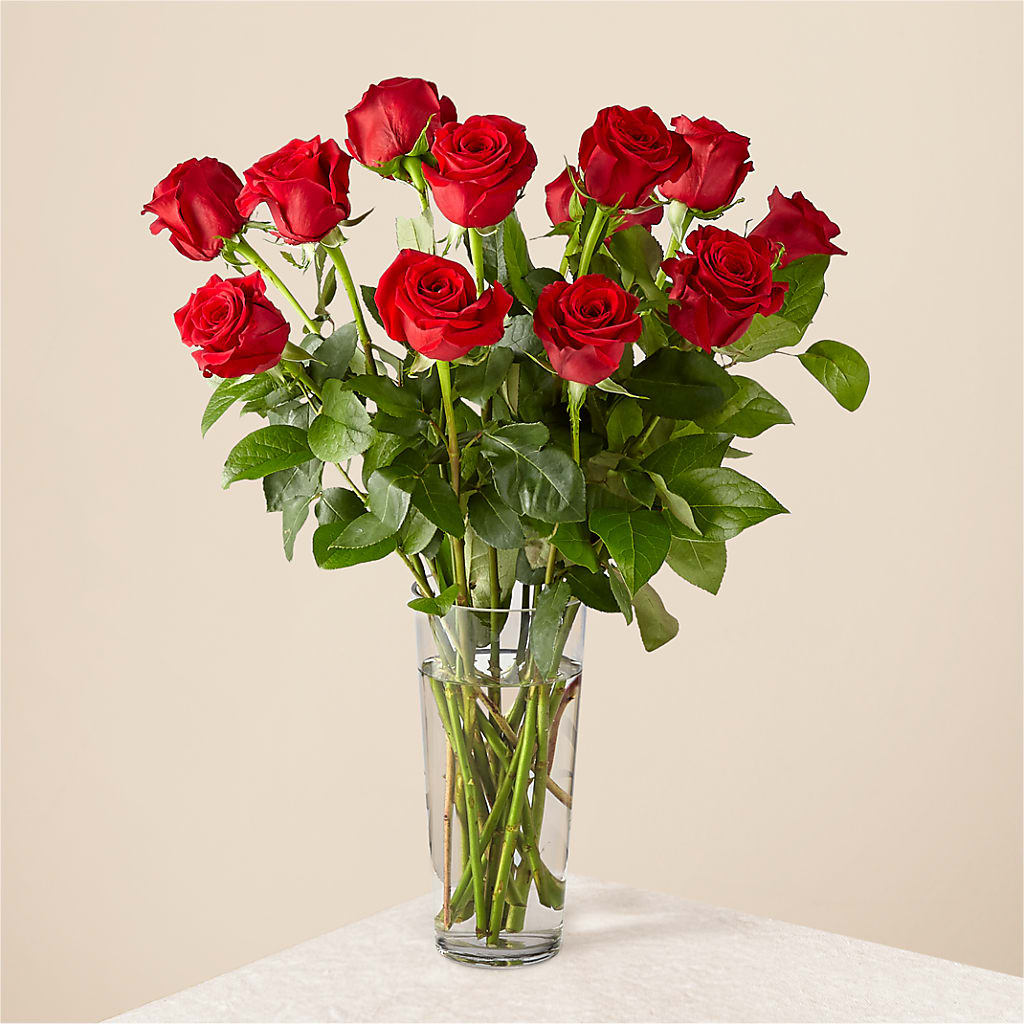 Long Stem Red Rose Bouquet – Colonial Flower Shoppe, Somers CT