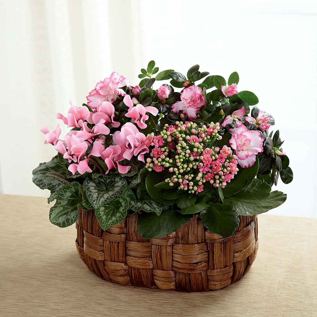 Pink Assortment – Colonial Flower Shoppe, Somers CT