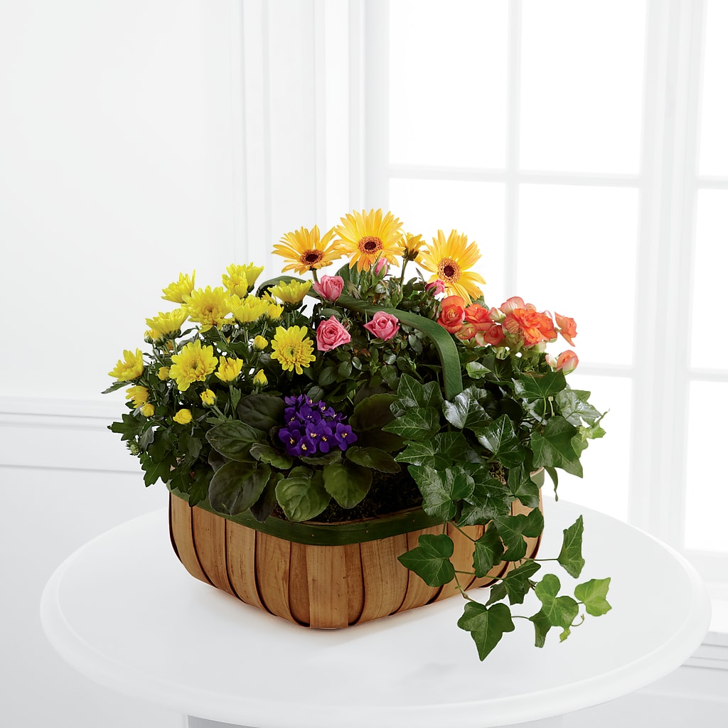 Gentle Blossoms Basket – Colonial Flower Shoppe, Somers CT