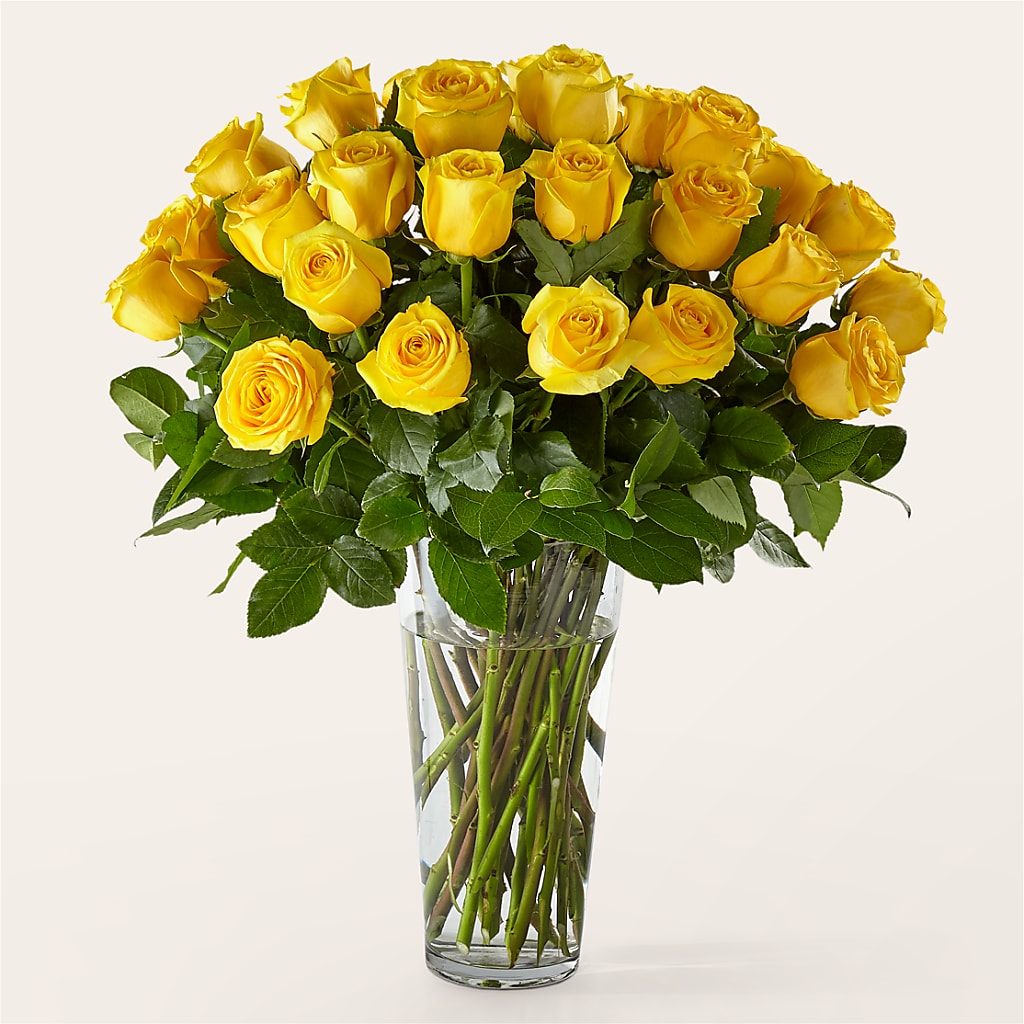 Long Stem Yellow Rose Bouquet – Colonial Flower Shoppe, Somers CT