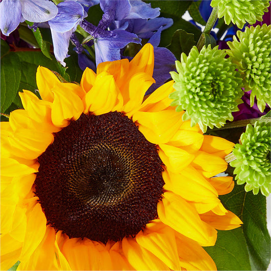 Catching Rays Bouquet – Colonial Flower Shoppe, Somers CT
