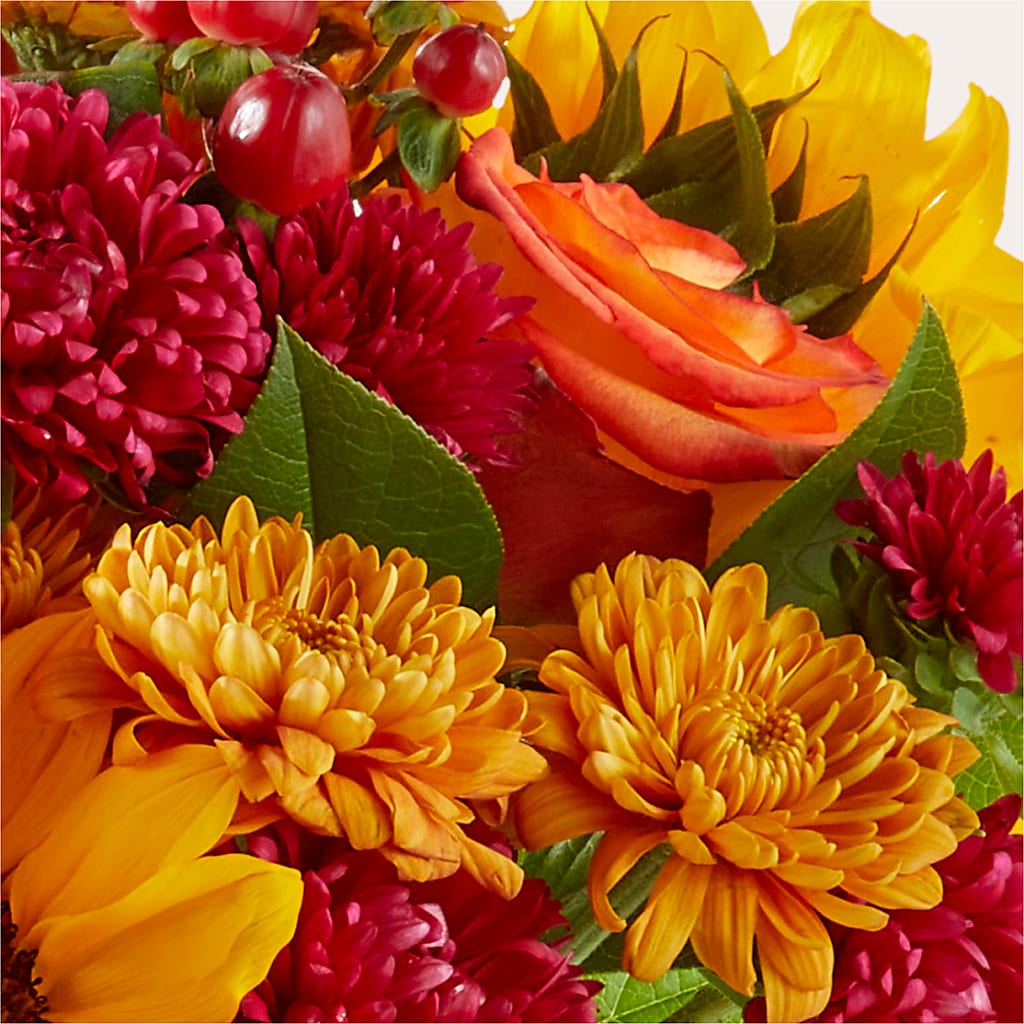 Sweater Season - A Florist Original – Colonial Flower Shoppe, Somers CT