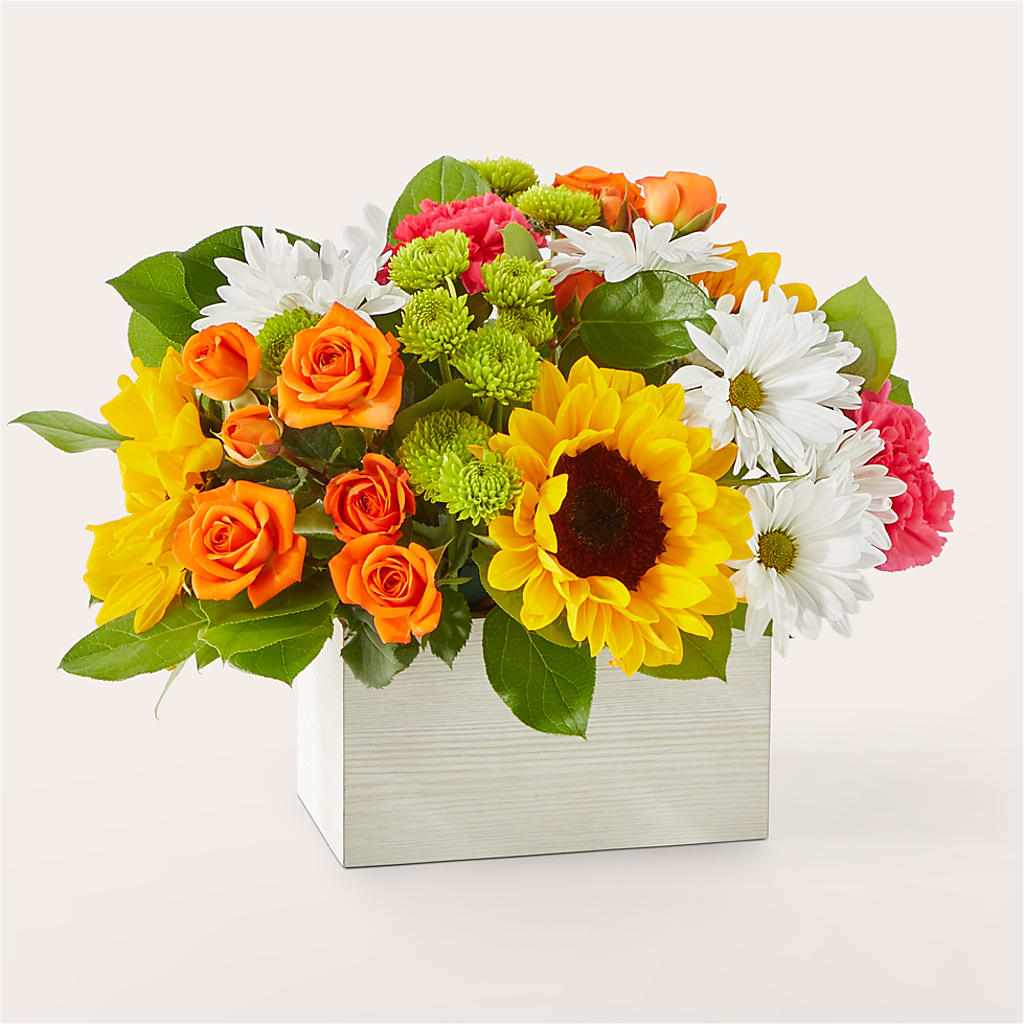 Sun-drenched Blooms Box Bouquet – Colonial Flower Shoppe, Somers CT