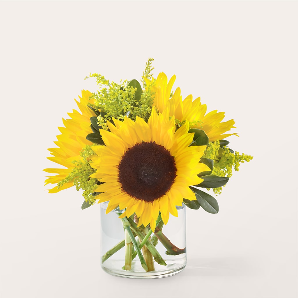 Beaming Sunflower Bouquet – Colonial Flower Shoppe, Somers CT