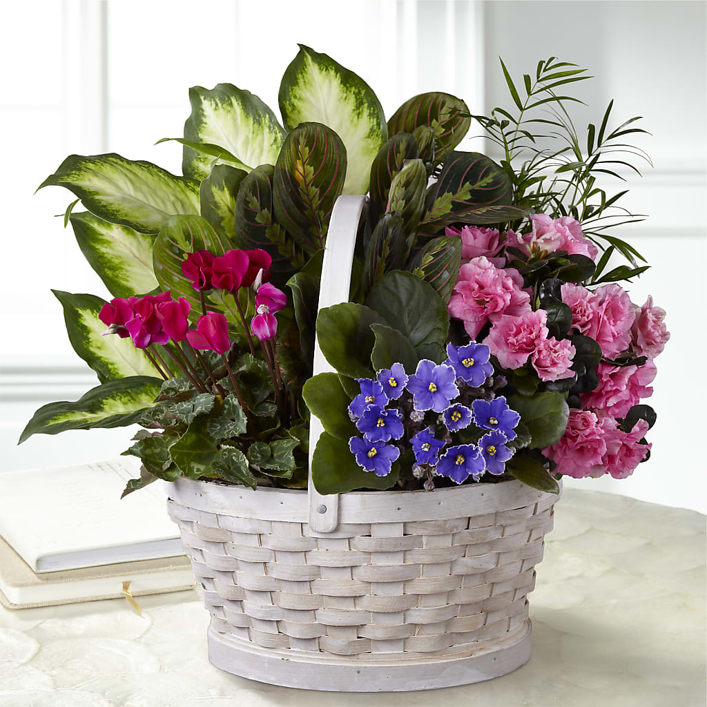 Peaceful Garden Planter – Colonial Flower Shoppe, Somers CT