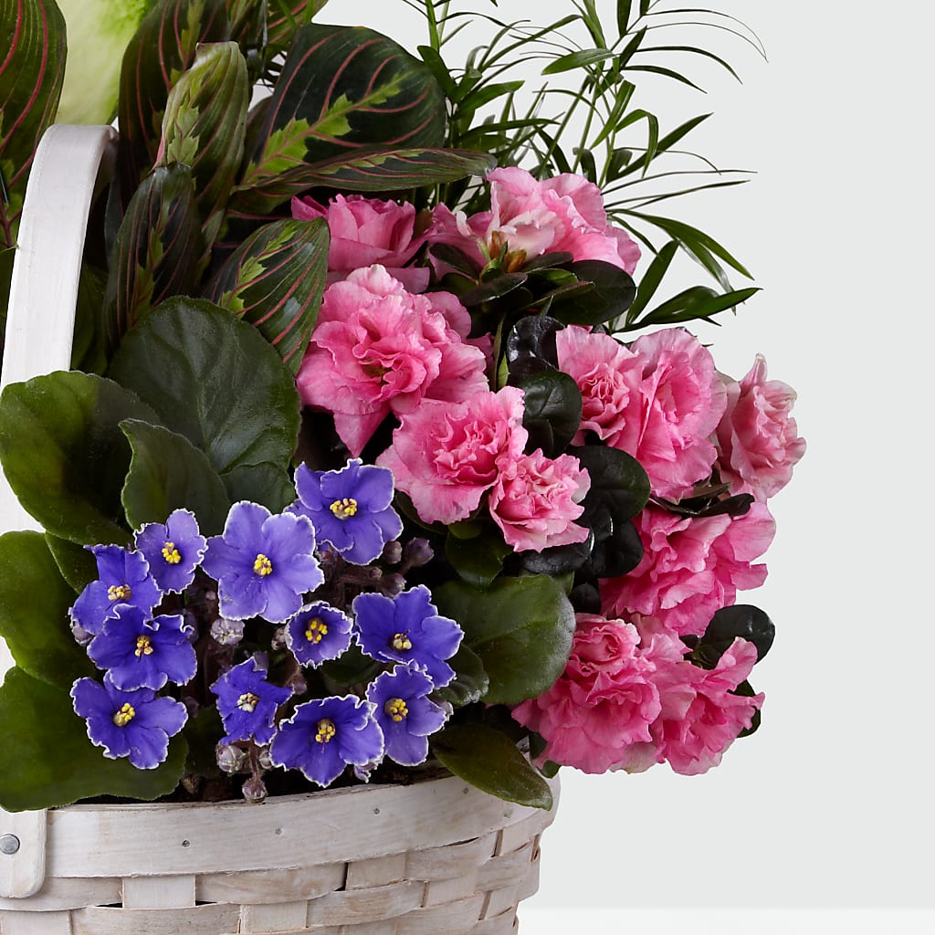 Peaceful Garden Planter – Colonial Flower Shoppe, Somers CT