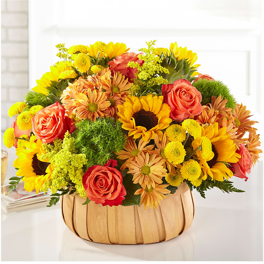 Harvest Sunflower Basket – Colonial Flower Shoppe, Somers CT