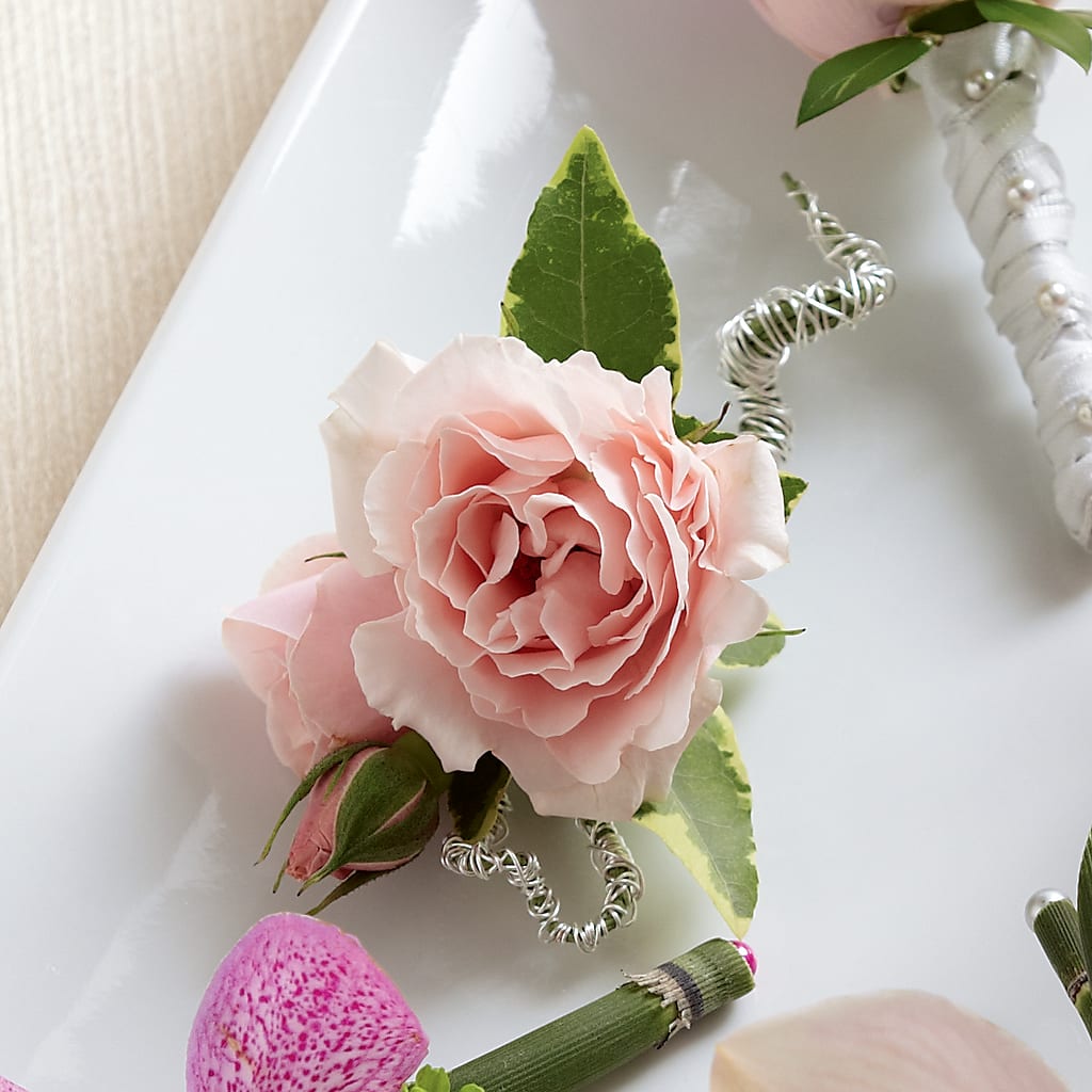 Pink Spray Rose Boutonniere – Colonial Flower Shoppe, Somers CT