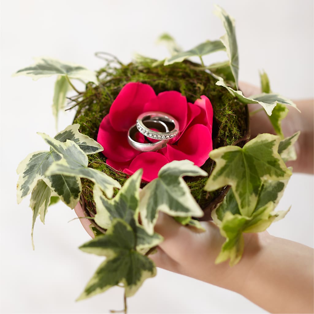 Lila Rose Ring Nest – Colonial Flower Shoppe, Somers CT