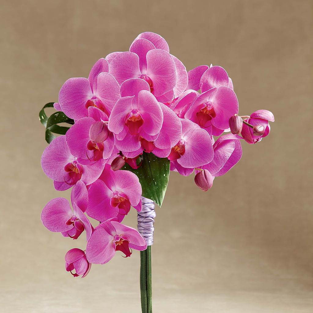 Glorious Bouquet – Colonial Flower Shoppe, Somers CT