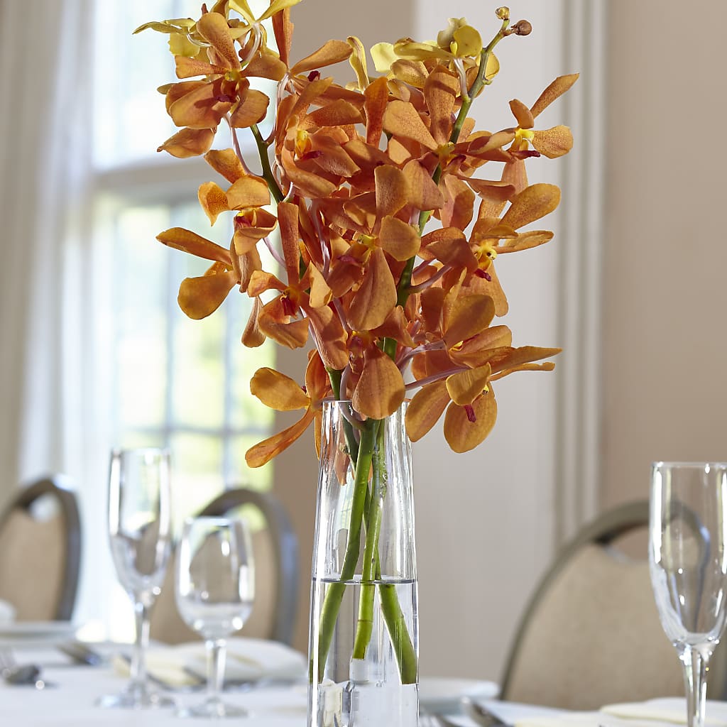 Orange Mokara Bud Vase – Colonial Flower Shoppe, Somers CT