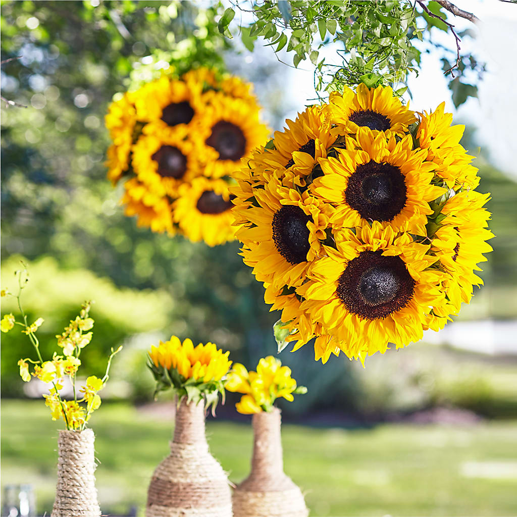 Sublime Garden Hanging Arrangement – Colonial Flower Shoppe, Somers CT