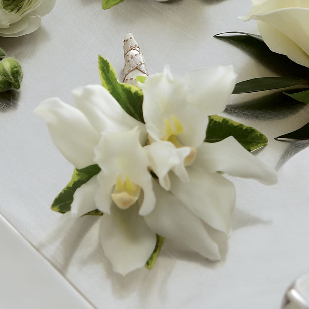 White Mini Cymbidium Boutonniere – Colonial Flower Shoppe, Somers CT