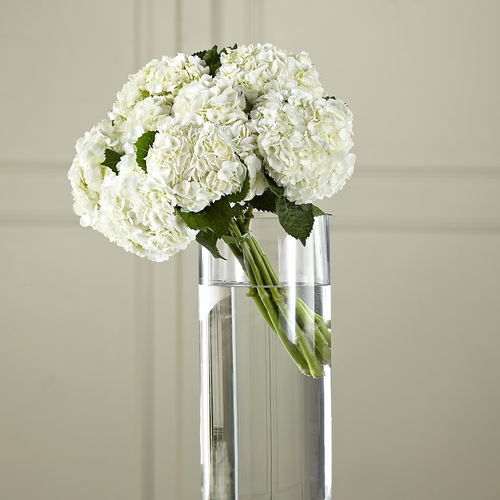 White Hydrangea Hand-Tied Bouquet – Colonial Flower Shoppe, Somers CT