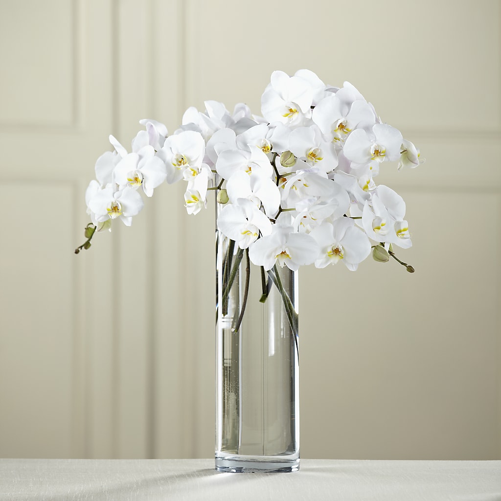 White Phalaenopsis Bouquet – Colonial Flower Shoppe, Somers CT