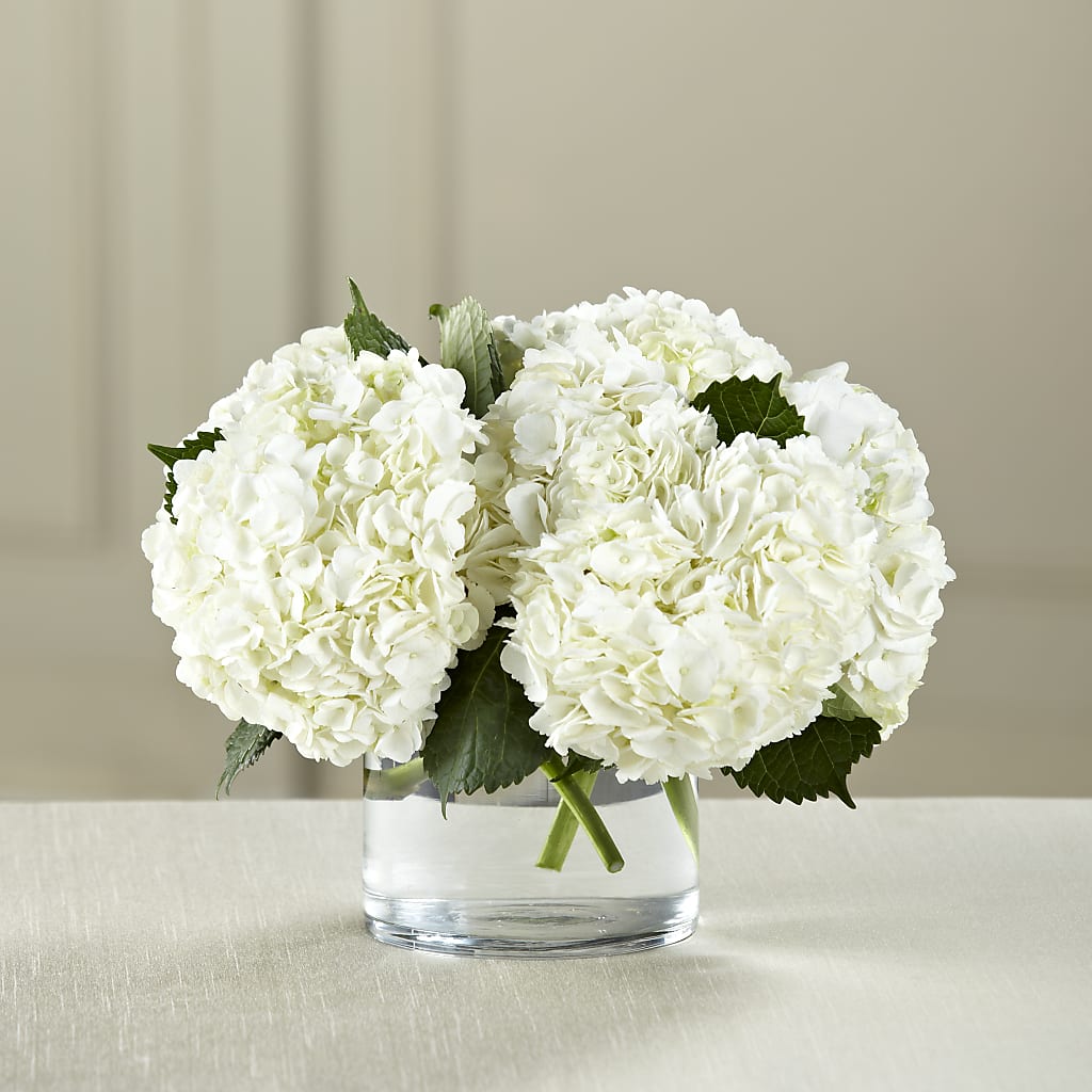 White Hydrangea Bouquet – Colonial Flower Shoppe, Somers CT