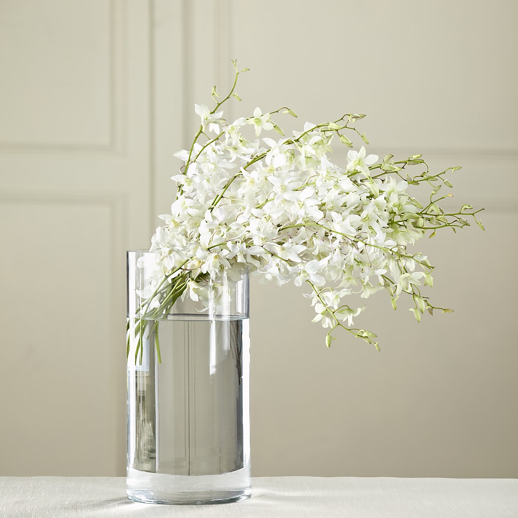 White Dendrobium Bouquet – Colonial Flower Shoppe, Somers CT