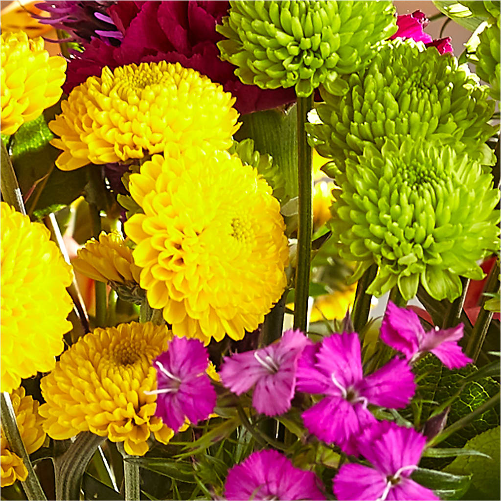 Bold & Bright – A Florist Original –  Colonial Flower Shoppe, Somers CT