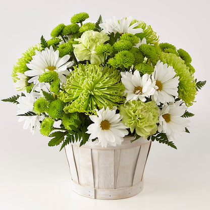 Lucky Charm Basket (Standard) –  Colonial Flower Shoppe, Somers CT