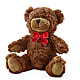 Adorable Plush Bear –  Colonial Flower Shoppe, Somers CT