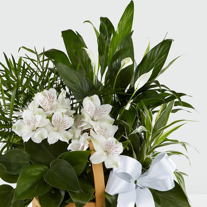 Peace & Serenity Dishgarden –  Colonial Flower Shoppe, Somers CT