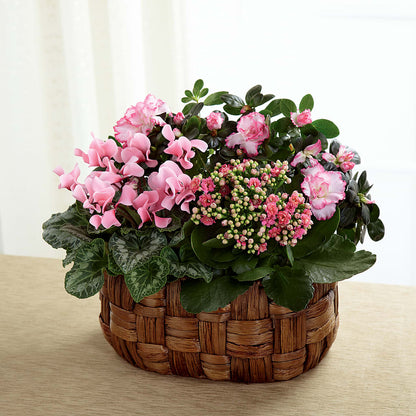 Pink Assortment –  Colonial Flower Shoppe, Somers CT