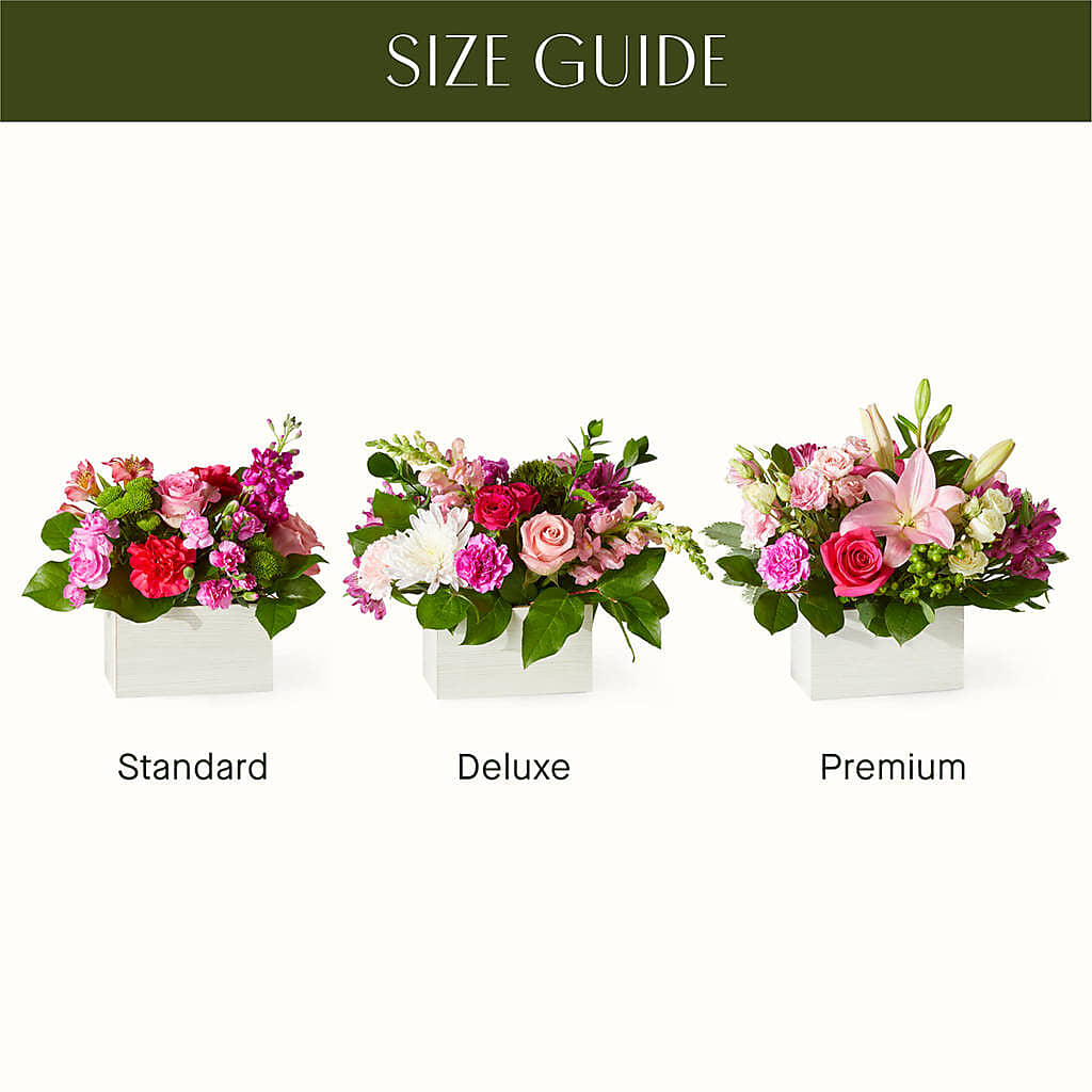 Sweetberry Box – A Florist Original –  Colonial Flower Shoppe, Somers CT