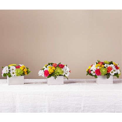 Sorbet Bouquet –  Colonial Flower Shoppe, Somers CT