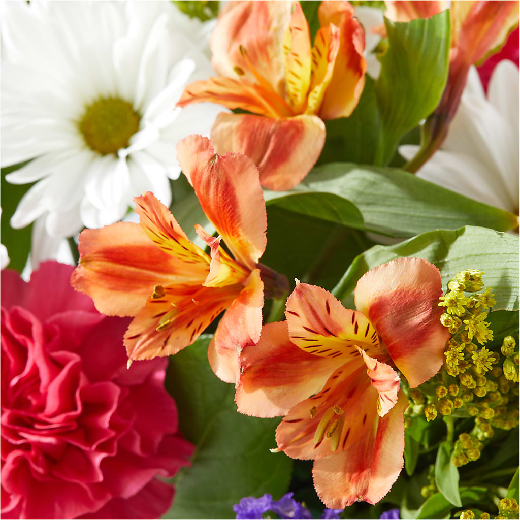 Oopsie Daisy Box Bouquet –  Colonial Flower Shoppe, Somers CT