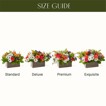 Oopsie Daisy Box Bouquet –  Colonial Flower Shoppe, Somers CT