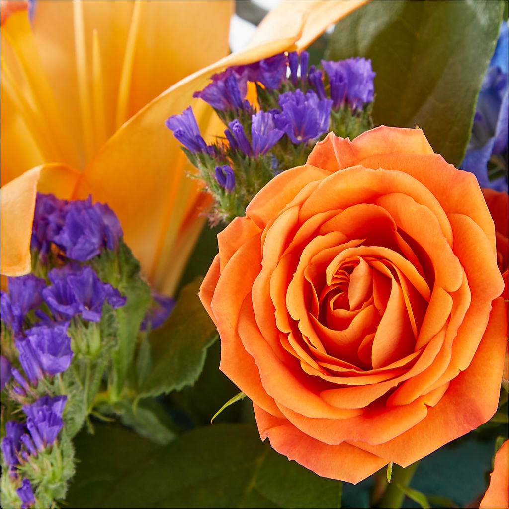 Radiant Citrus Box Bouquet –  Colonial Flower Shoppe, Somers CT