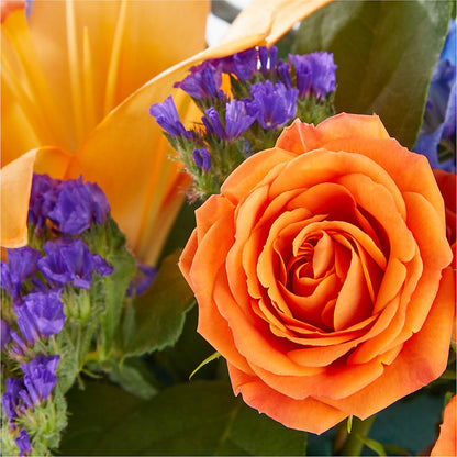 Radiant Citrus Box Bouquet –  Colonial Flower Shoppe, Somers CT