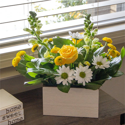 Sun Salutation Box Bouquet –  Colonial Flower Shoppe, Somers CT