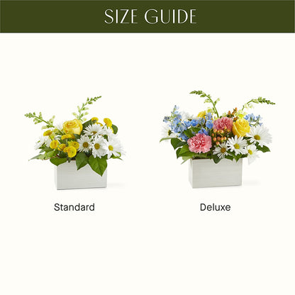 Sun Salutation Box Bouquet –  Colonial Flower Shoppe, Somers CT