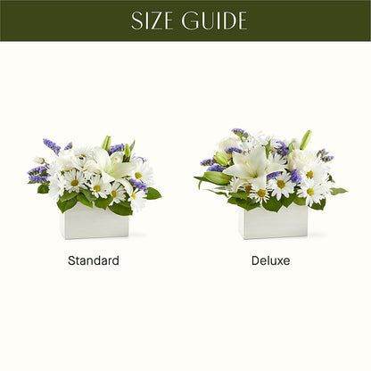 Beyond Blue Box Bouquet –  Colonial Flower Shoppe, Somers CT