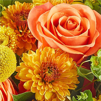 Gourdgeous Pumpkin –  Colonial Flower Shoppe, Somers CT