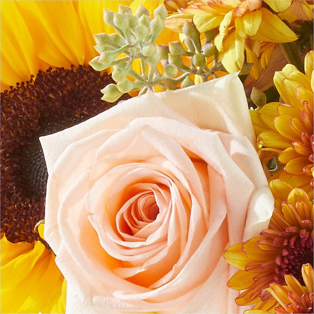Pumpkin to Talk About Bouquet –  Colonial Flower Shoppe, Somers CT
