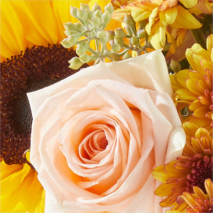 Pumpkin to Talk About Bouquet –  Colonial Flower Shoppe, Somers CT