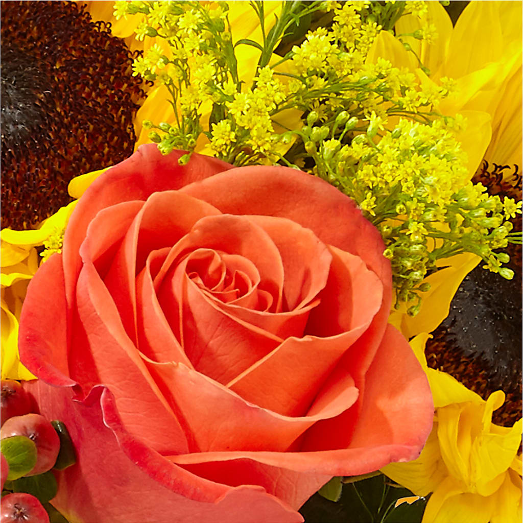 Pick of the Patch Pumpkin Bouquet –  Colonial Flower Shoppe, Somers CT