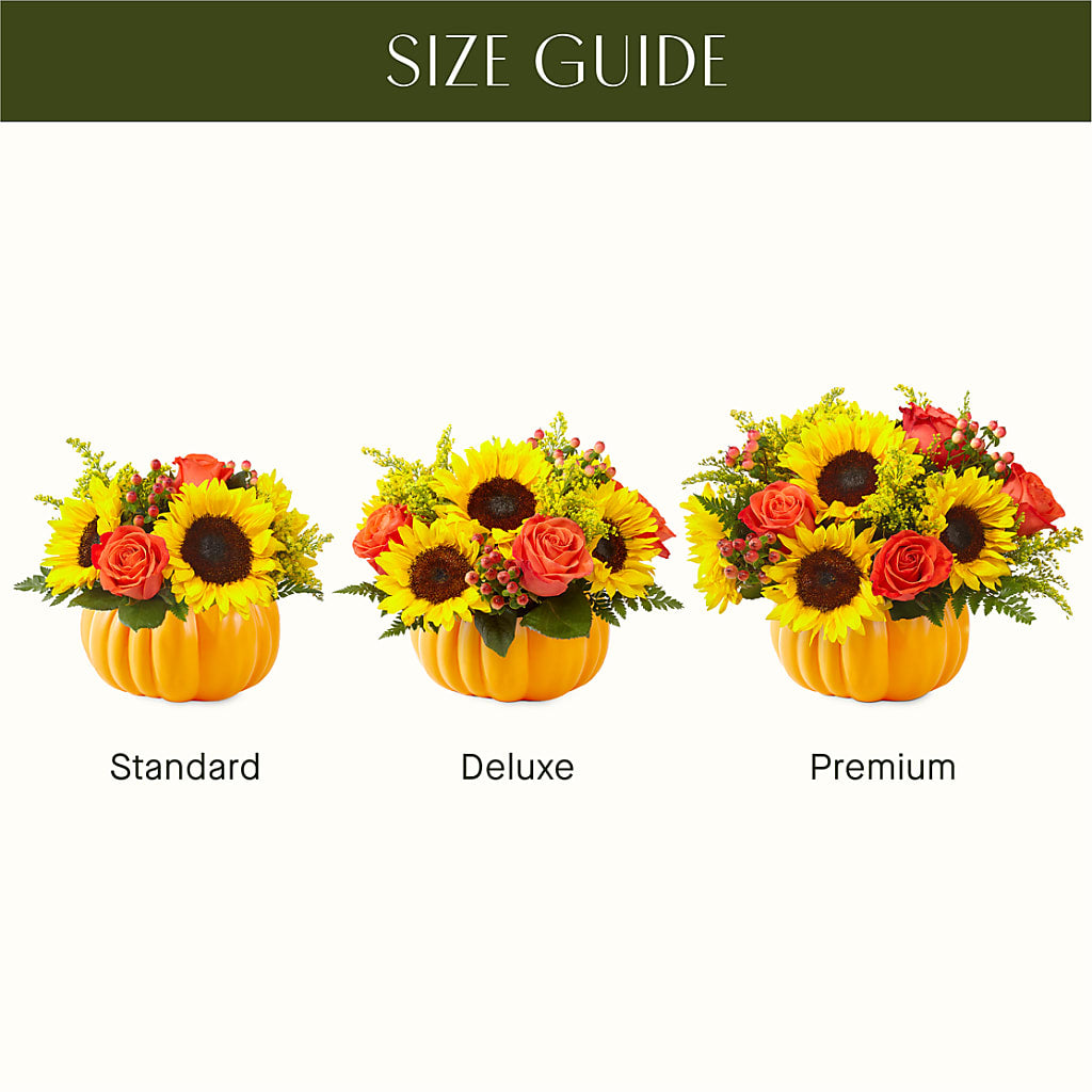 Pick of the Patch Pumpkin Bouquet –  Colonial Flower Shoppe, Somers CT