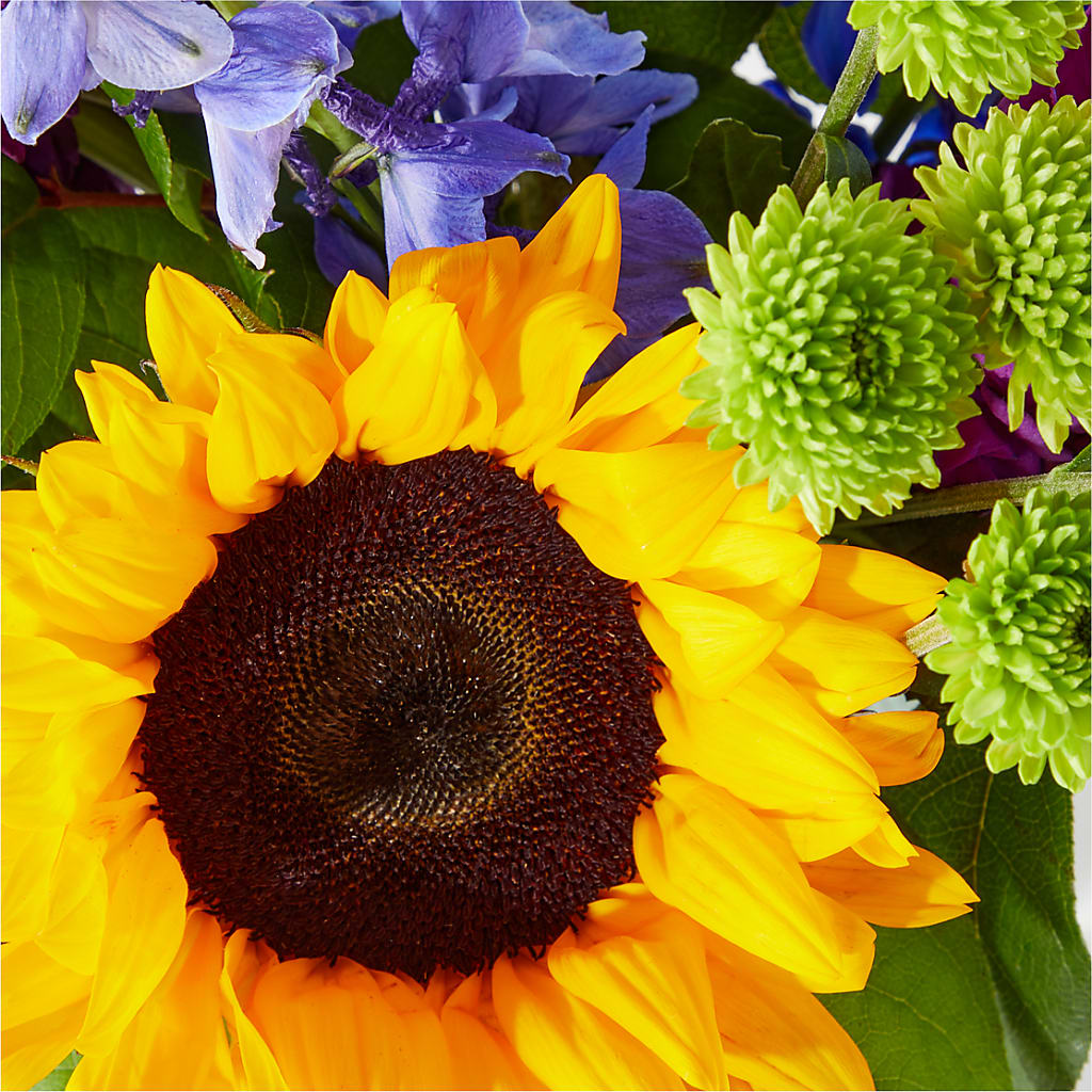 Catching Rays Bouquet –  Colonial Flower Shoppe, Somers CT