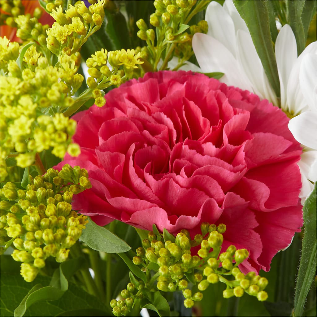 Oopsie Daisy Bouquet –  Colonial Flower Shoppe, Somers CT