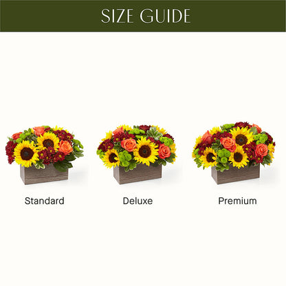 Happy Harvest Garden –  Colonial Flower Shoppe, Somers CT