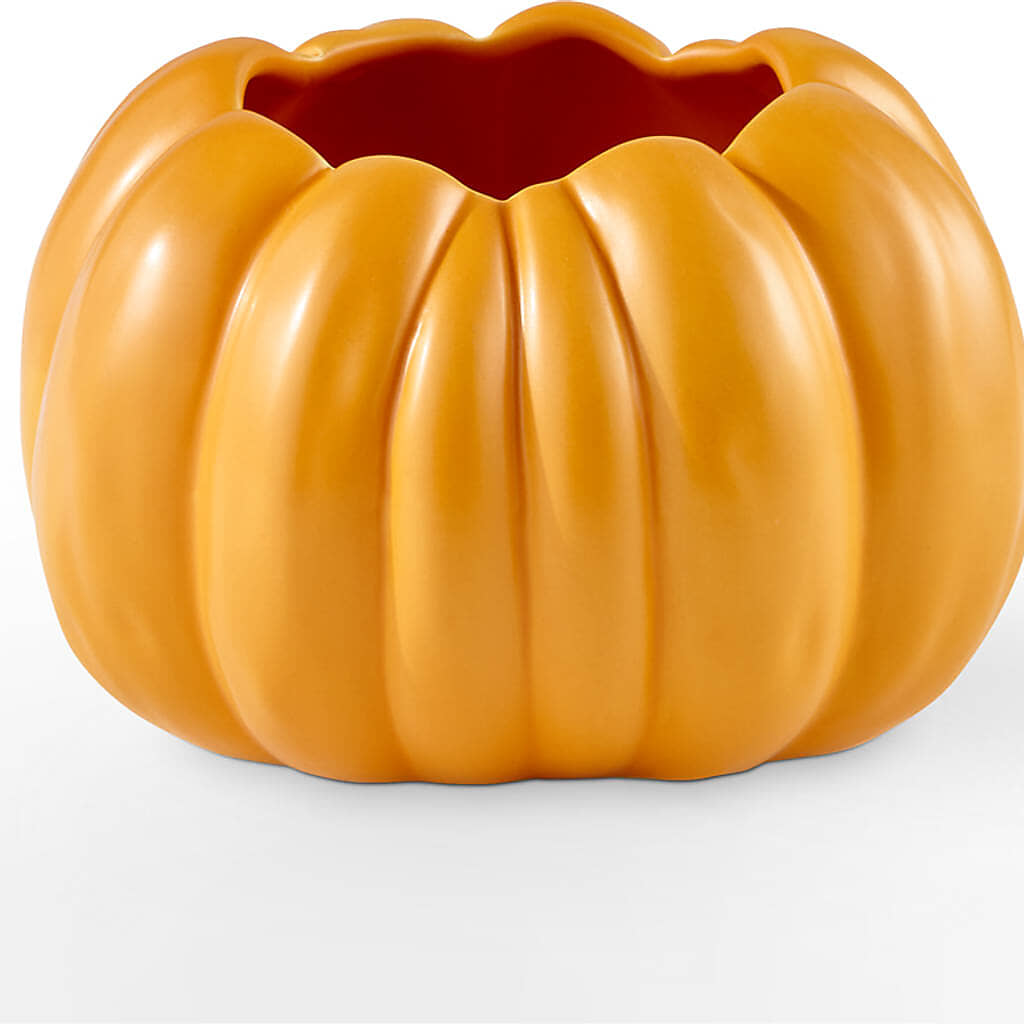 Golden Gourd Pumpkin Bouquet –  Colonial Flower Shoppe, Somers CT