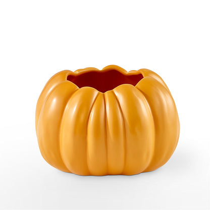 Pick of the Patch Pumpkin Bouquet –  Colonial Flower Shoppe, Somers CT