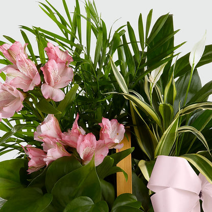 Living Spirit Dishgarden –  Colonial Flower Shoppe, Somers CT
