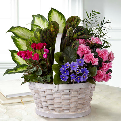 Peaceful Garden Planter –  Colonial Flower Shoppe, Somers CT