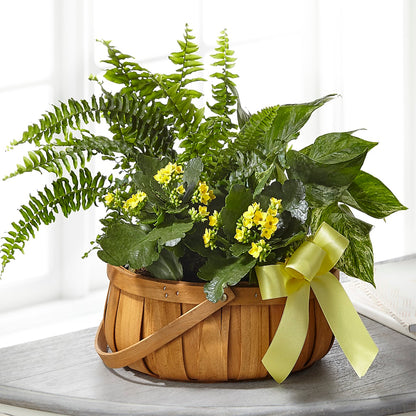 Always Dear Dishgarden –  Colonial Flower Shoppe, Somers CT