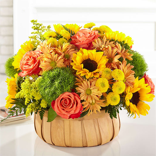 Harvest Sunflower Basket –  Colonial Flower Shoppe, Somers CT